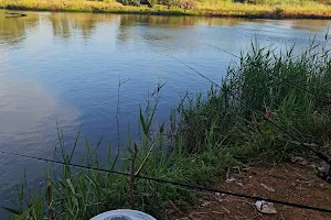 Werribee River image