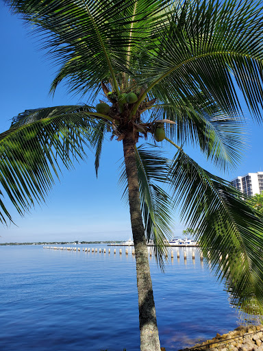 Tourist Attraction «Edison and Ford Winter Estates», reviews and photos, 2350 McGregor Blvd, Fort Myers, FL 33901, USA