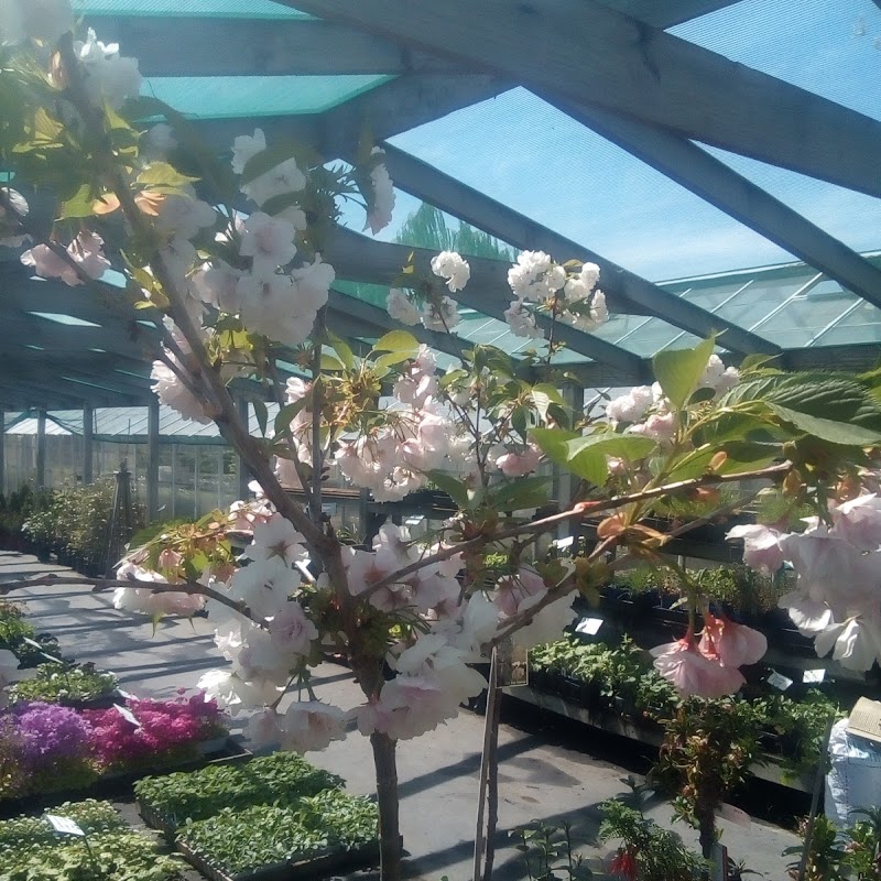 Gray Floral Nursery and Garden Centre