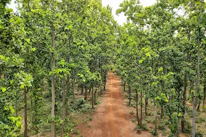 Sonamukhi Forest image