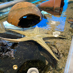 Photo n°2 de l'avis de Marcello. fait le 23/08/2021 à 10:56 sur le  Michelino Fish à Ostia