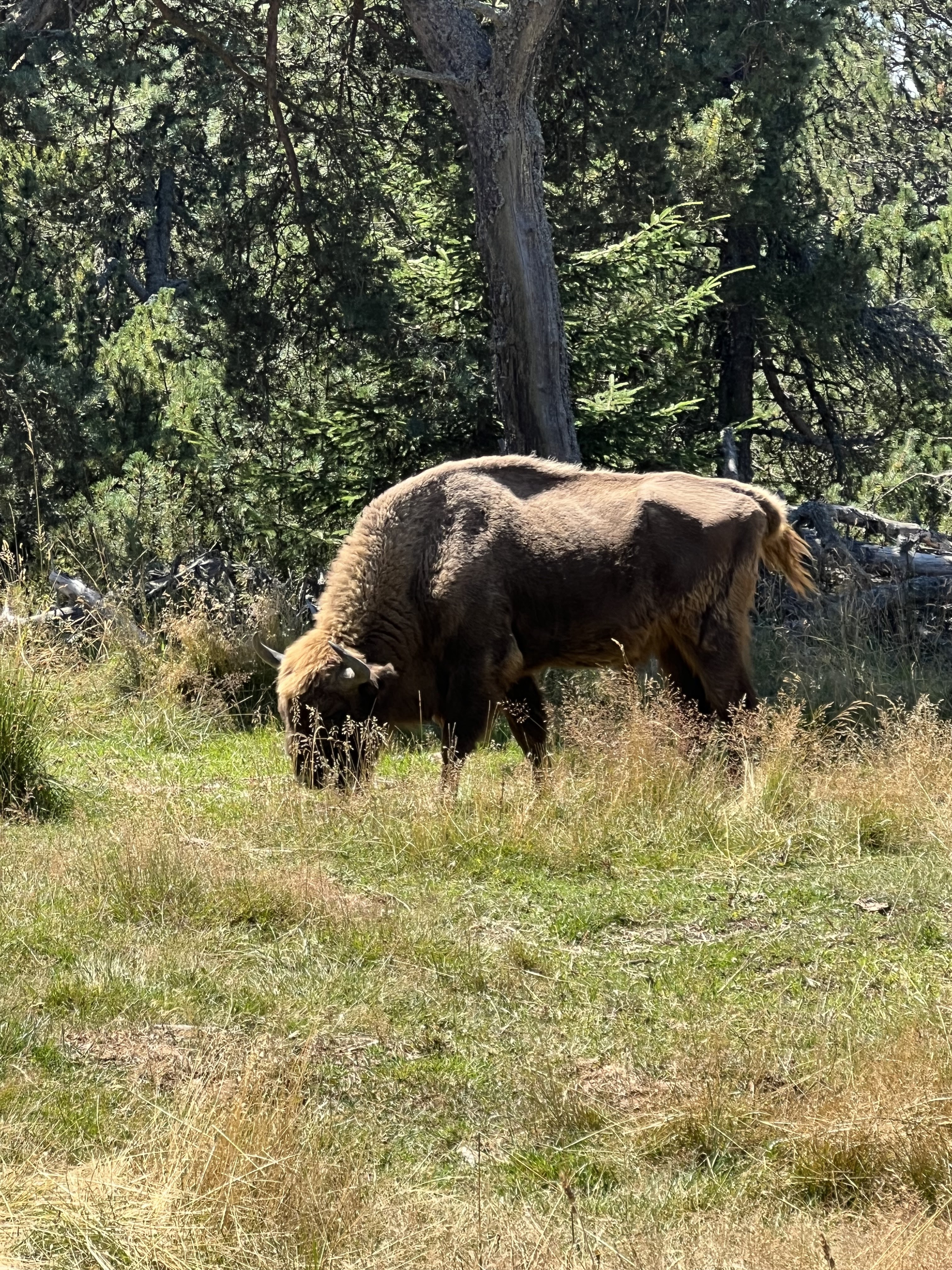 Photo n° 1 de l'avis de Emilie.O fait le 08/08/2023 à 06:51