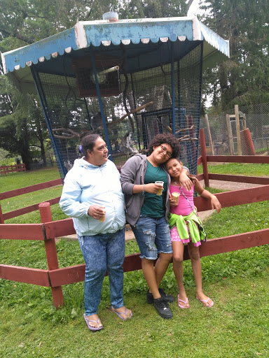 Zoo «Bailiwick Animal Park and Riding Stables», reviews and photos, 118 Castle Rd, Catskill, NY 12414, USA