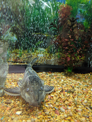 Pet Supply Store «Petco Animal Supplies», reviews and photos, 8164 Mall Pkwy, Lithonia, GA 30038, USA