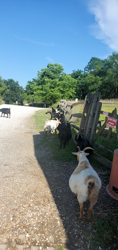 Golf Course «Merrick Golf Course», reviews and photos, 2550 Clubhouse Rd #1, Merrick, NY 11566, USA