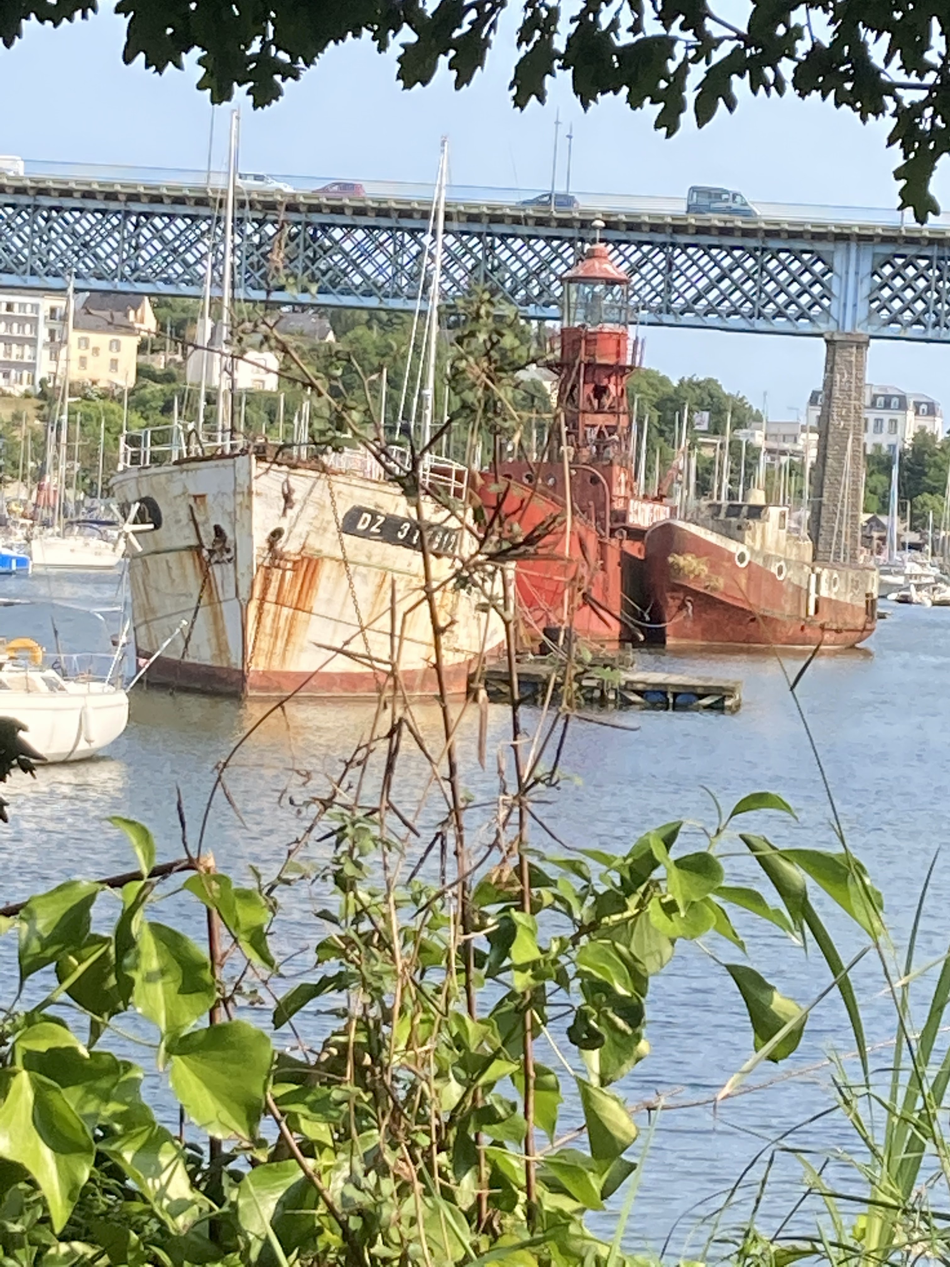 Photo n° 3 de l'avis de Franck.e fait le 22/06/2020 à 20:27