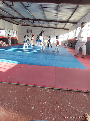 Taekwondo Jaguares Loma