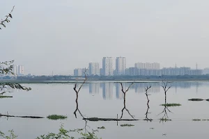 Najafgarh Jheel Bird Sanctuary image