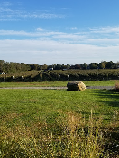 Winery «Kontokosta Winery», reviews and photos, 825 North Rd, Greenport, NY 11944, USA