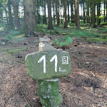 Photo n°1 de l'avis de Andree.t fait le 02/08/2020 à 16:18 sur le  Gasthof Braun à Schmallenberg