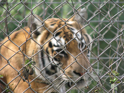 Park «Dietz Recreation Park Inc», reviews and photos, 1490 State Rd 46, Center Point, IN 47840, USA