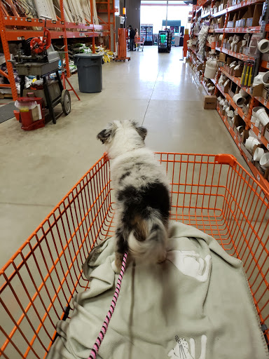 Home Improvement Store «The Home Depot», reviews and photos, 2600 S Lapeer Rd, Lake Orion, MI 48360, USA