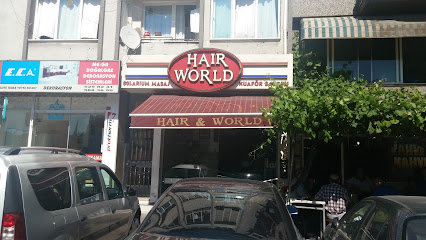 Hair World