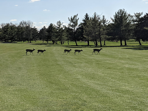 Golf Course «Rutgers Golf Course», reviews and photos, 777 Hoes Ln W, Piscataway Township, NJ 08854, USA