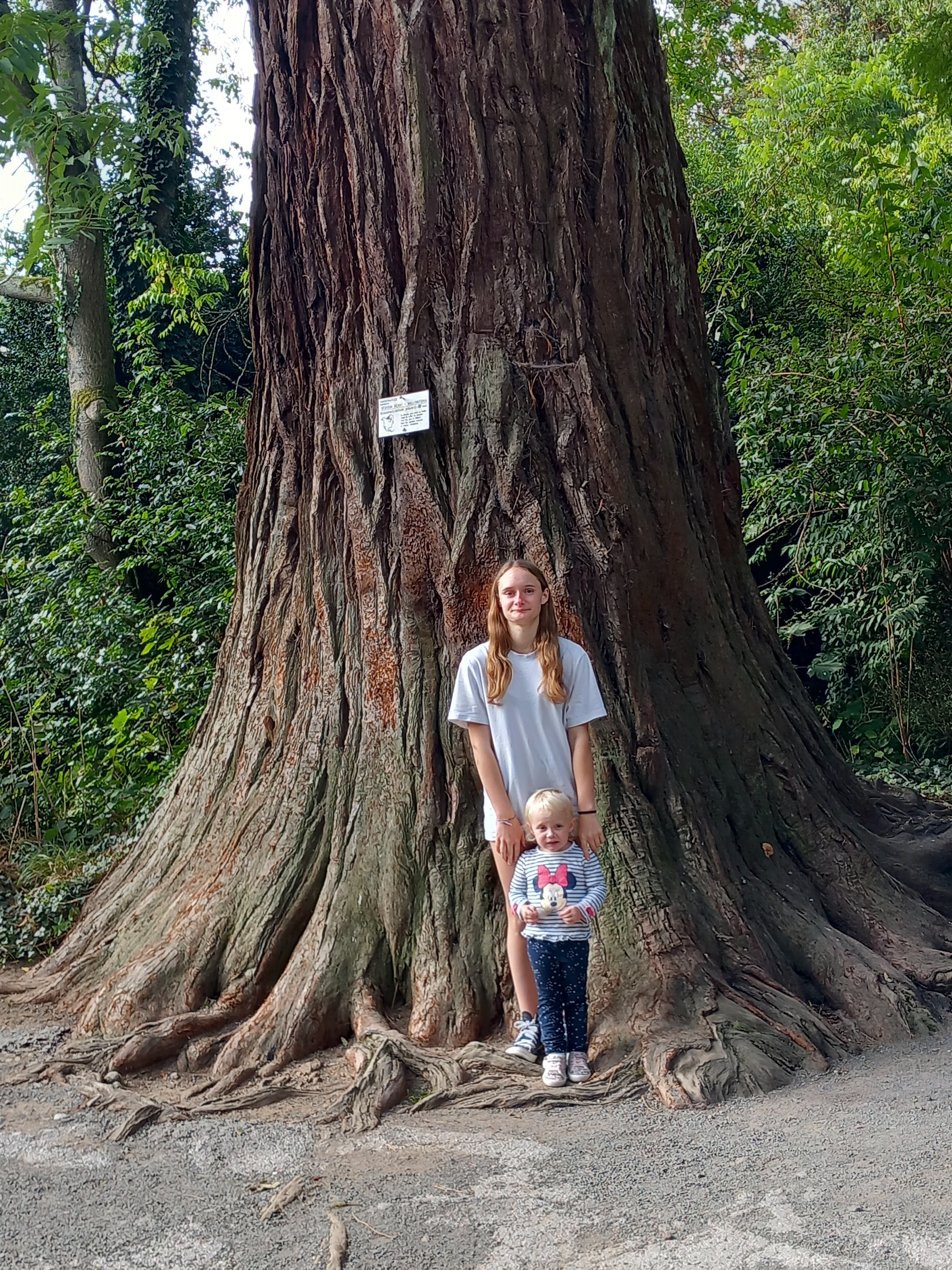 Photo n° 46 de l'avis de Julien.a fait le 11/10/2023 à 18:47