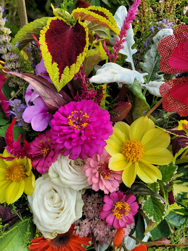 Florist «St. Clair Greenhouses & Florist», reviews and photos, 7043 Big Hand Rd, St Clair, MI 48079, USA