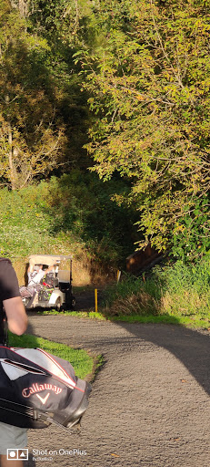 Golf Course «Chehalem Glenn Golf Course», reviews and photos, 4501 E Fernwood Rd, Newberg, OR 97132, USA