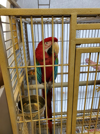 Pet Store «A Family Pet Center», reviews and photos, 6230 N Lockwood Ridge Rd, Sarasota, FL 34243, USA