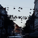 Photo n°1 de l'avis de David.a fait le 26/07/2018 à 17:42 sur le  Pizzateca da Tonis à Flensburg