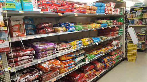 Discount Store «Dollar General», reviews and photos, 2138 E Bay Dr, Largo, FL 33771, USA