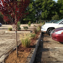Knights Development LLC - Photo 2 - Car repair in , Mesquite