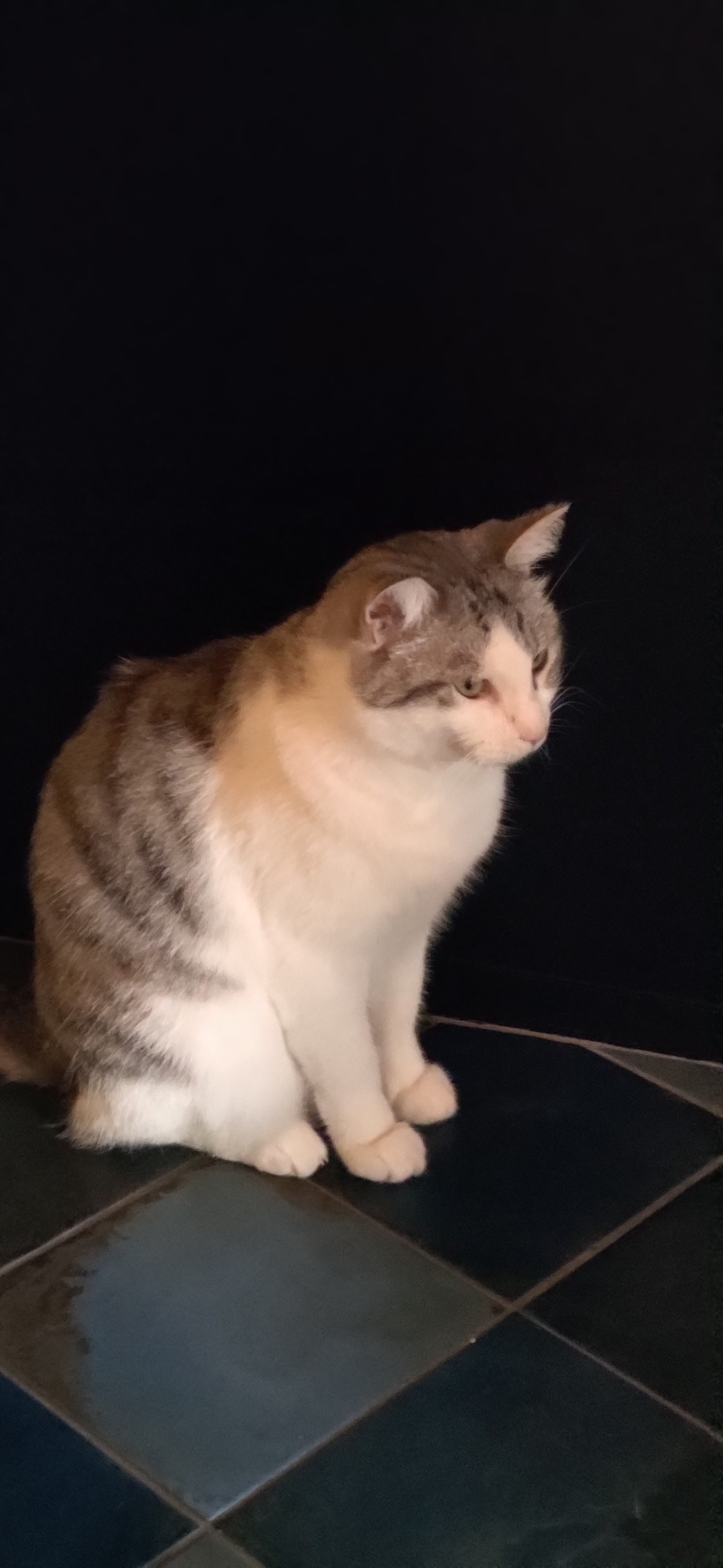 Photo n° 1 de l'avis de cécile.e fait le 10/09/2023 à 15:42