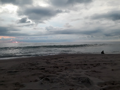 Beach Dog Boarding & Salon