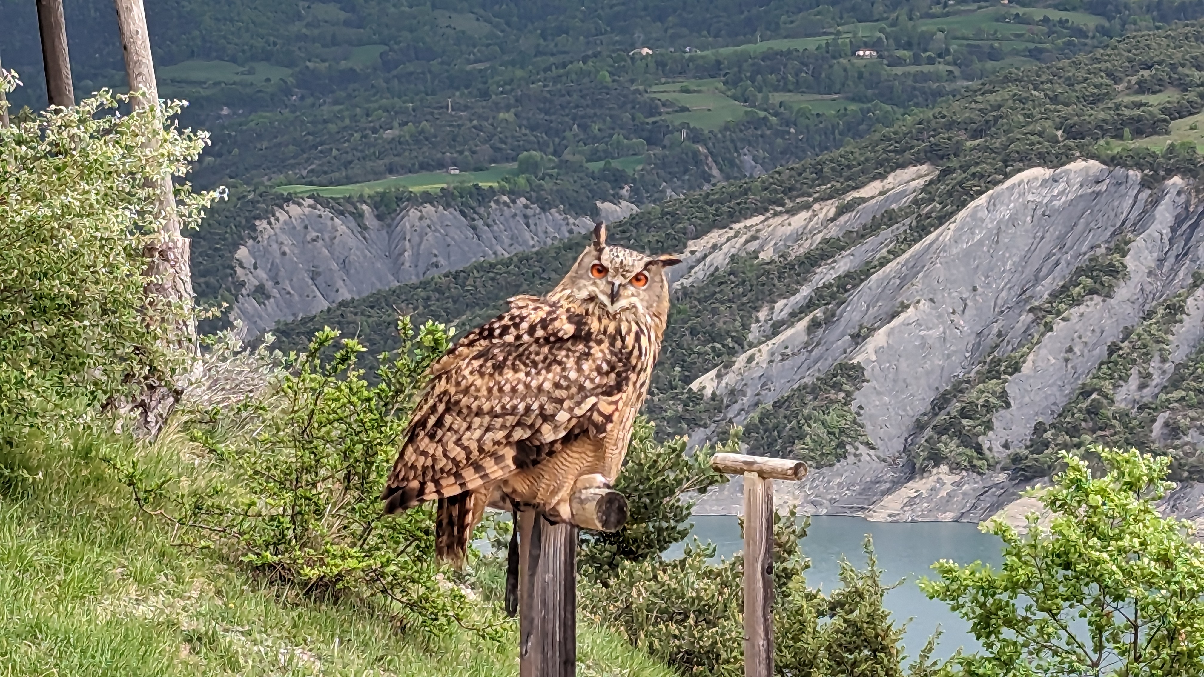 Photo n° 4 de l'avis de Christophe.O fait le 07/05/2023 à 13:37