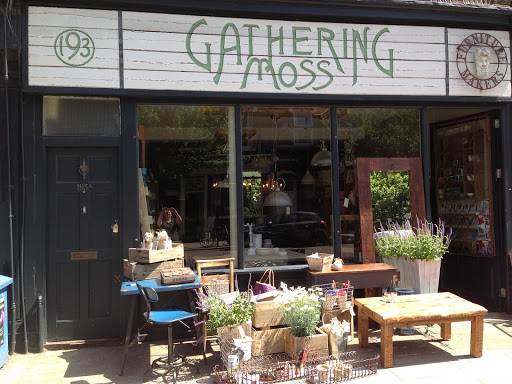 Gathering Moss Handmade Furniture