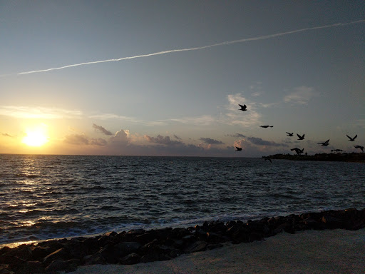 Amphitheater «Cole Park Amphitheater», reviews and photos, 1526 Ocean Dr, Corpus Christi, TX 78404, USA