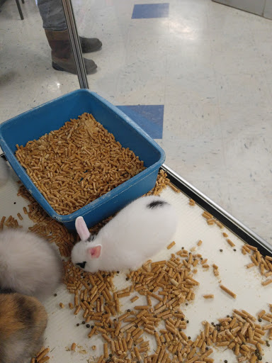 Pet Store «Fish Bowl», reviews and photos, 2117 E Race Ave, Searcy, AR 72143, USA