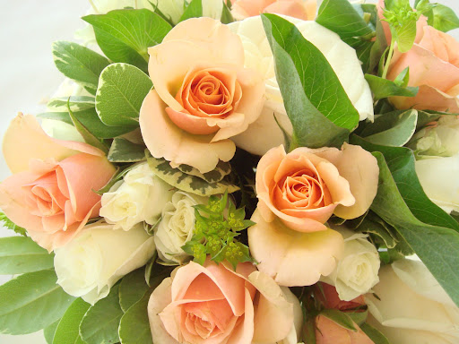 Florist «Flower Market Florist», reviews and photos, 1919 Drew St, Clearwater, FL 33765, USA