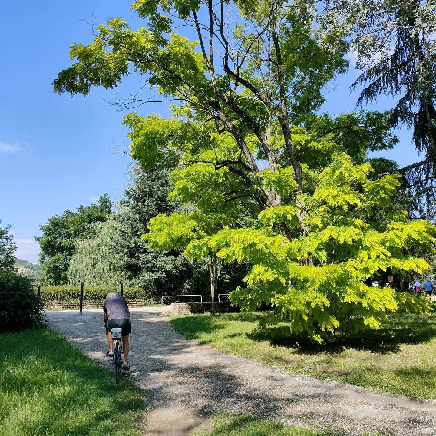 Photo n° 7 de l'avis de Karen.u fait le 18/07/2021 à 21:38