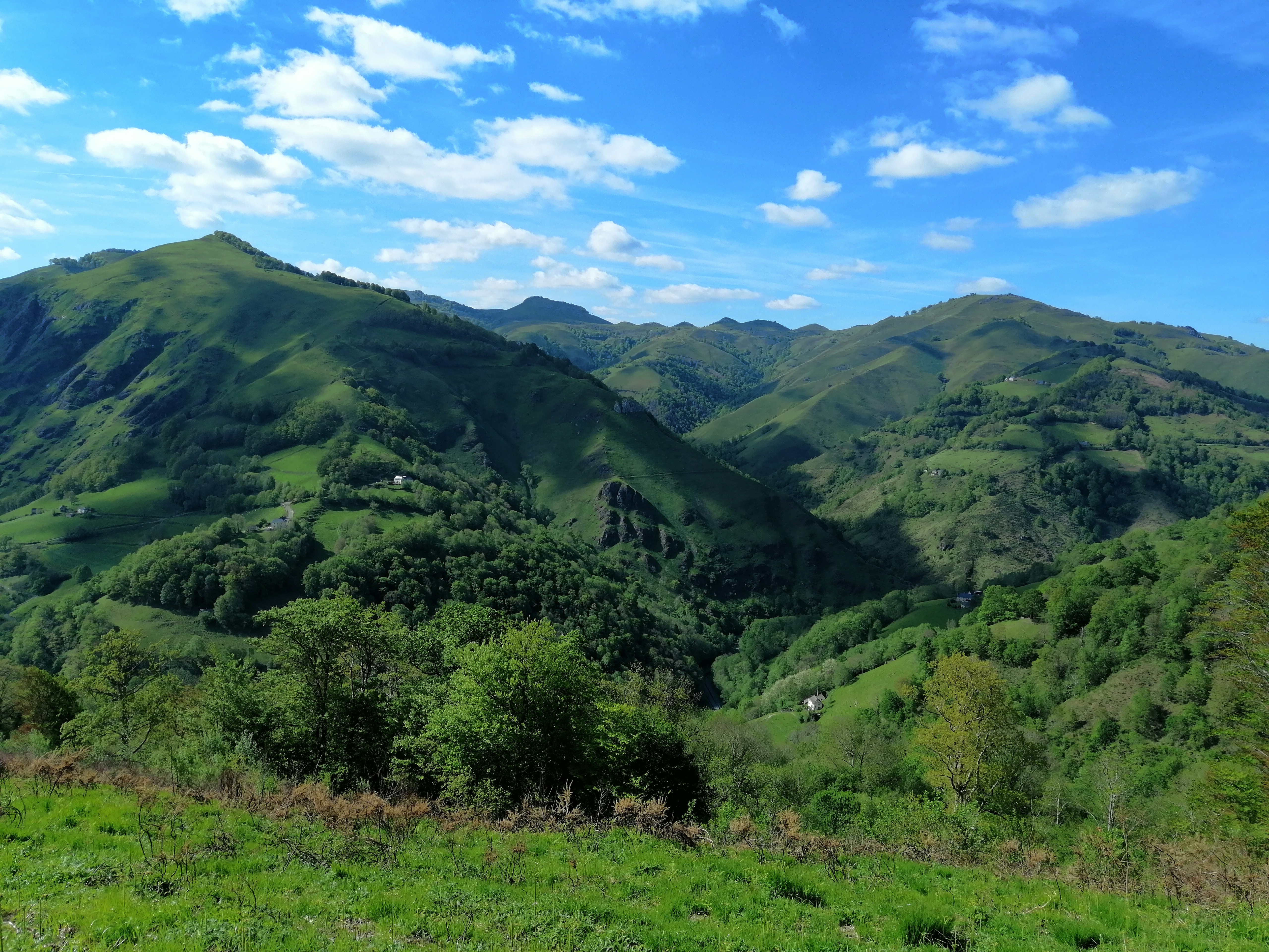Photo n° 7 de l'avis de Chrystèle.e fait le 14/05/2019 à 05:31