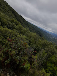 Photo n°20 de Château de Blanchefort à Rennes-les-Bains ()