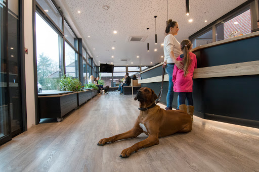 Fachtierärztliches Zentrum Dr. Berger unter Heede, Niedersachsen