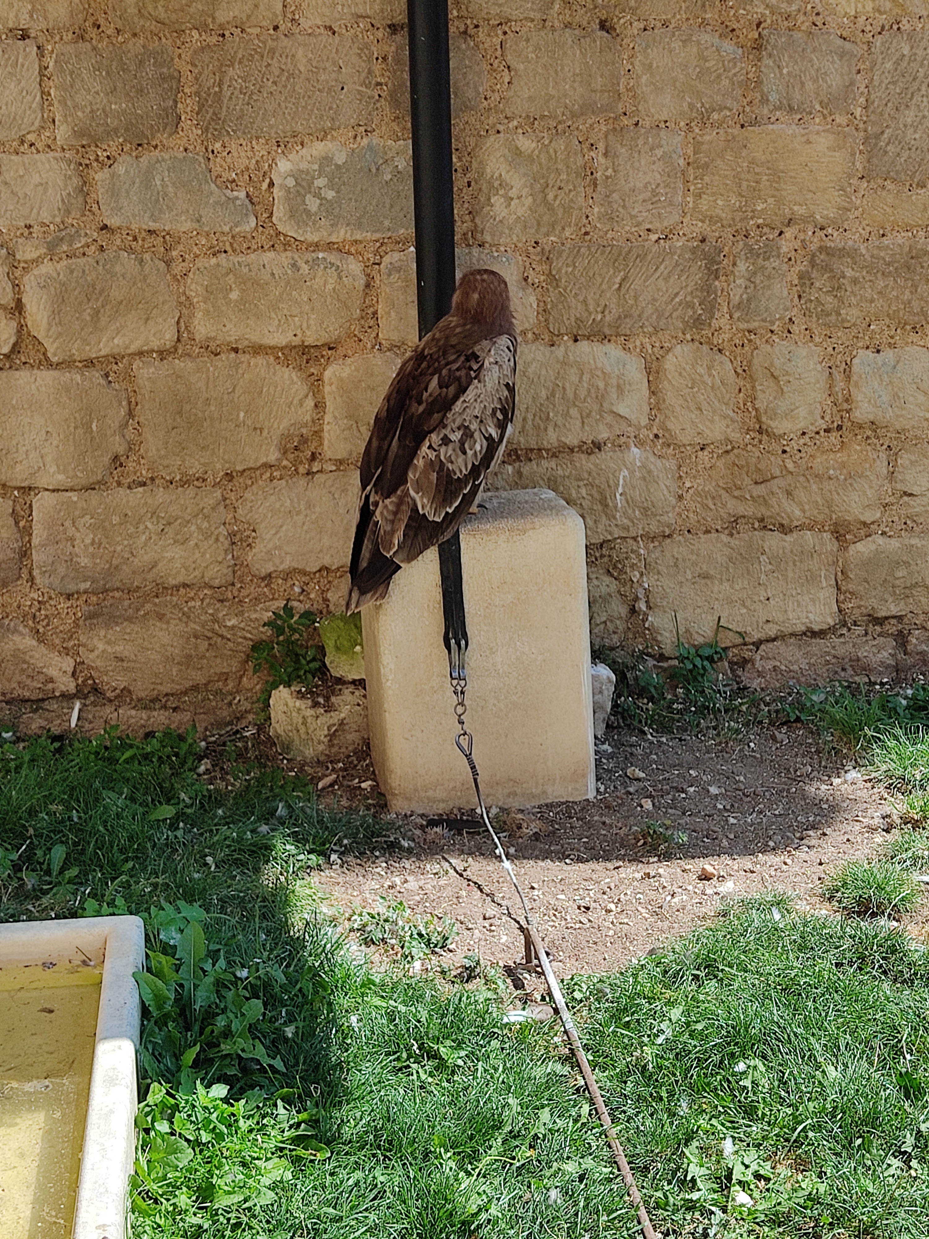 Photo n° 13 de l'avis de Zig.u fait le 25/08/2021 à 16:58