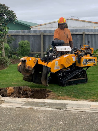 Reviews of ADC Tree Services Ltd in Invercargill - Landscaper