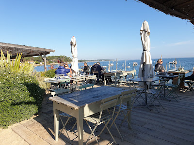 Chez Guillaume Degustation d'huitres à Lège-Cap-Ferret
