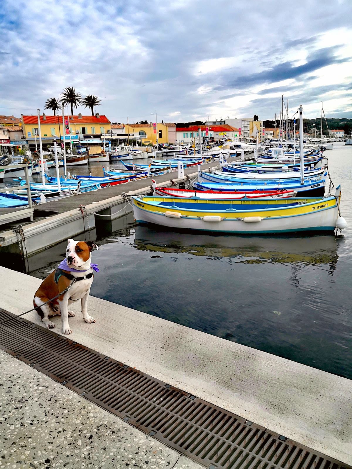 Photo n° 2 de l'avis de Ann-Sophie.a fait le 15/05/2018 à 16:55