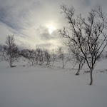 Photo n°1 de l'avis de Harald.e fait le 05/06/2017 à 21:01 sur le  Höhengasthaus zum Kreuz à Biederbach