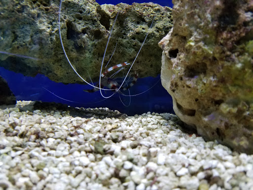 Golf Course «Elmwood Golf Course», reviews and photos, 3900 Thatcher Ave, Pueblo, CO 81005, USA