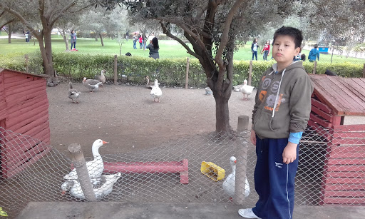 Planta de Tratamiento de la Municipalidad de San Borja