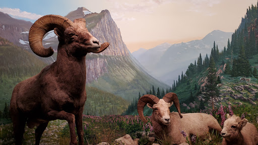 Aquarium «Wonders Of Wildlife National Museum & Aquarium», reviews and photos, 500 W Sunshine St, Springfield, MO 65807, USA