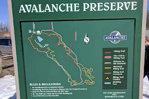 Avalanche Preserve image