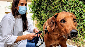 Hospital Veterinário Dr.Francisco Corrêa Cardoso, Lda.