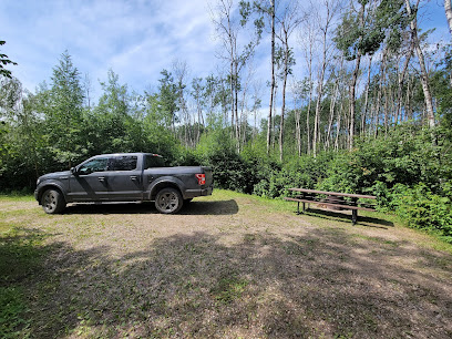 Muriel Lake M.D. Campground