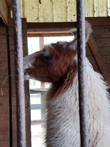 Farm «Dakota Ridge Farm», reviews and photos, 189 E High St, Ballston Spa, NY 12020, USA