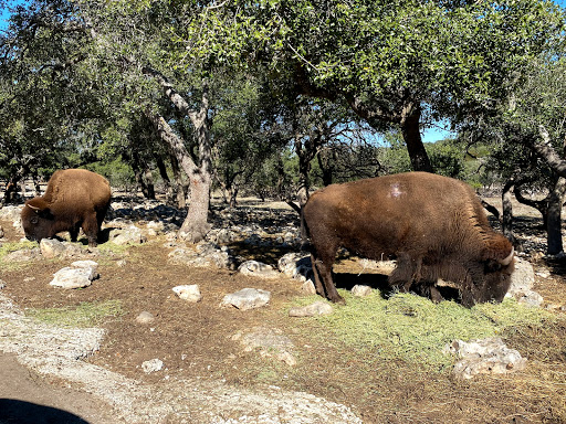 Zoo «Natural Bridge Wildlife Ranch», reviews and photos, 26515 Natural Bridge Caverns Rd, San Antonio, TX 78266, USA