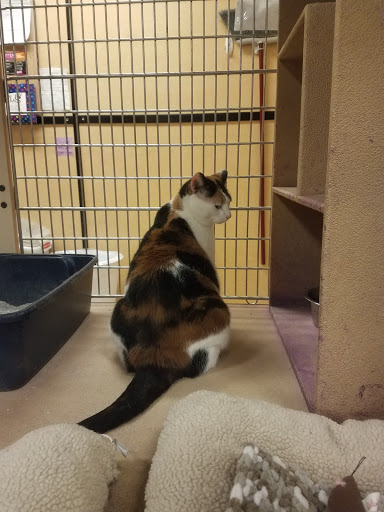 Pet Supply Store «PetSmart», reviews and photos, 1125 Quentin Rd, Lebanon, PA 17042, USA